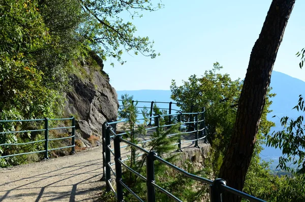 Tappeinerweg Boven Merano Zuid Tirol Zomer Met Uitzicht Stad Merano — Stockfoto