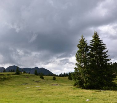 Mountain landscape in South Tyrol in summer on an alpine pasture with a thunderstorm front over the mountains