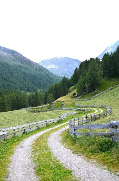 South Tyrolean Mountains Meadow Trail Wooden Fence Mowed Meadows View — Foto Stock