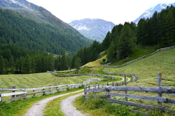 South Tyrolean Mountains Meadow Trail Wooden Fence Mowed Meadows View — 스톡 사진