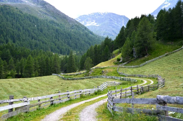 Idillio Estivo Montagna Alto Adige — Foto Stock