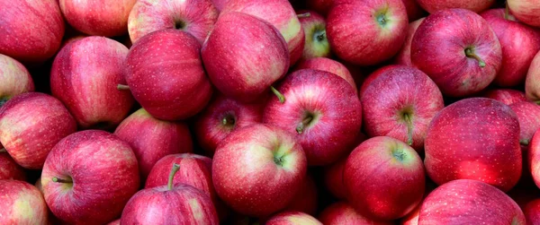 Manzanas Rojas Maduras Fondo Textura — Foto de Stock