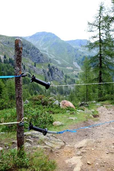 Electric Grazing Fence Wooden Fence Alpine Pasture South Tyrol — 스톡 사진