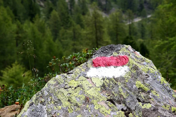 Trail Marking Red White Stone Alps — Fotografia de Stock
