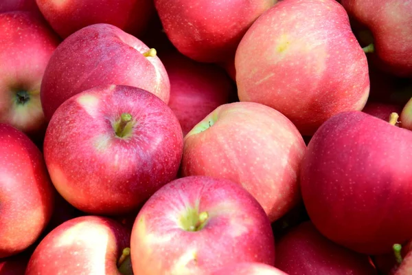 Manzanas Rojas Maduras Deliciosas Como Fondo Textura — Foto de Stock