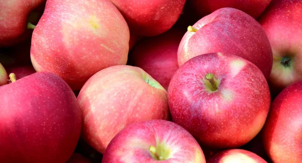 Manzanas Rojas Maduras Deliciosas Como Fondo Textura — Foto de Stock