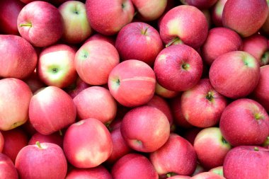 Kırmızı olgun lezzetli elmalar arka plan ve doku olarak