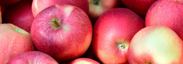 Manzanas Rojas Maduras Deliciosas Como Fondo Textura — Foto de Stock