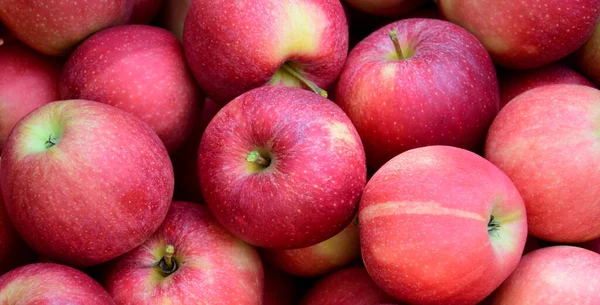Manzanas Rojas Maduras Deliciosas Como Fondo Textura — Foto de Stock