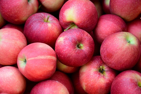 Manzanas Rojas Maduras Deliciosas Como Fondo Textura — Foto de Stock