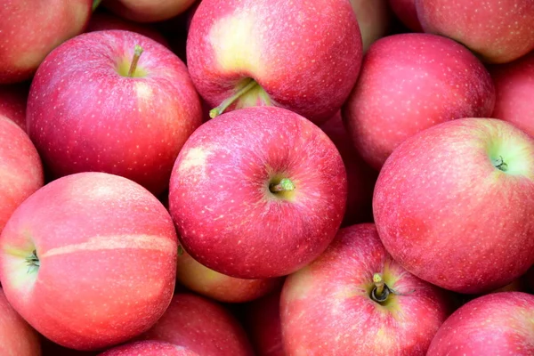 Manzanas Rojas Maduras Deliciosas Como Fondo Textura — Foto de Stock