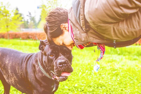 Scena Tenera Tra Una Donna Suo Cane Nel Parco — Foto Stock