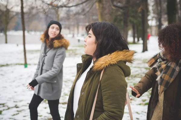 Bir grup genç kadın kar örtüsüyle parkta yürüyor. — Stok fotoğraf