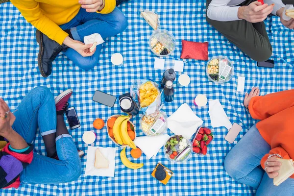 四个人在户外露营时形象化地躺在桌布上 他们是不知名的朋友 健康的饮食 社交活动等等 — 图库照片