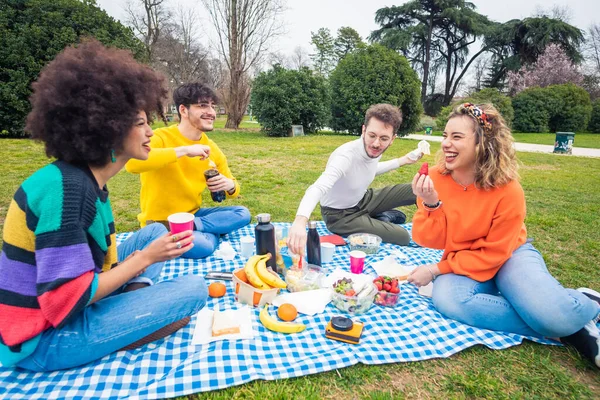 Gruppe Multiethnischer Freunde Beim Picknick Bindung Multiethnischer Menschen Beim Feiern — Stockfoto