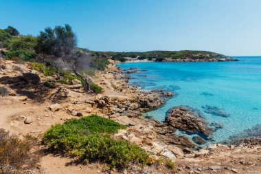 İtalya, Sardunya 'da kimsenin olmadığı turkuaz ve şeffaf bir denizle yıkanmış Asinara Coastilne' nin göz kamaştırıcı manzarası