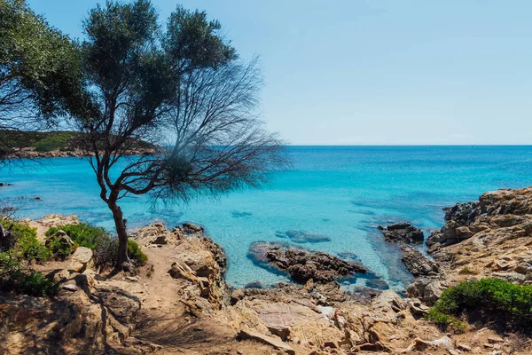 Stunning View Asinara Coastilne Bathed Turquoise Transparent Sea One Sardinia — Stock Photo, Image