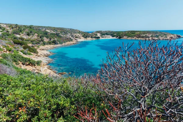 Stunning View Asinara Coastilne Bathed Turquoise Transparent Sea One Sardinia — Stock Photo, Image