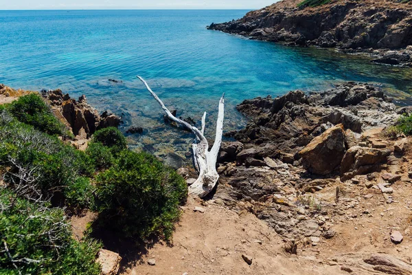 Prachtig Uitzicht Asinara Coastilne Badend Een Turquoise Transparante Zee Met — Stockfoto