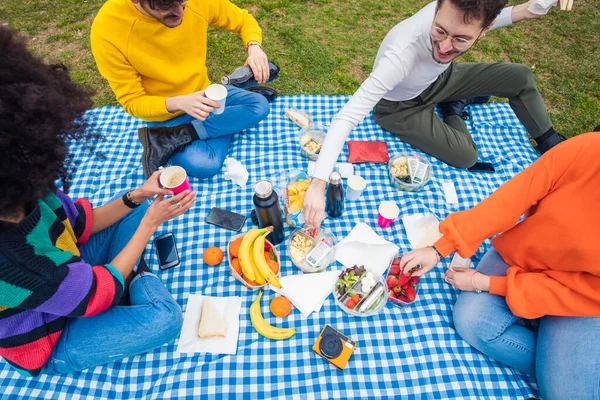 四个有野餐公园的多种族朋友 一群在公园里庆祝聚餐的朋友 庆祝活动 社交聚会的概念 — 图库照片