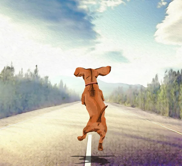 Colorful Illustration Happy Jumping Dog — Stock Photo, Image