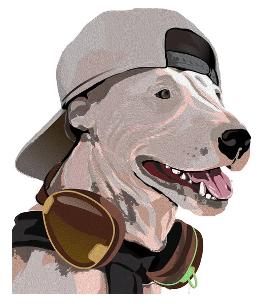 Иллюстрация Собаки Кепке Наушниках — стоковое фото