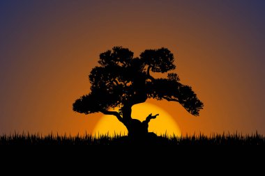 Bonsai Japon kültürünün sembolü