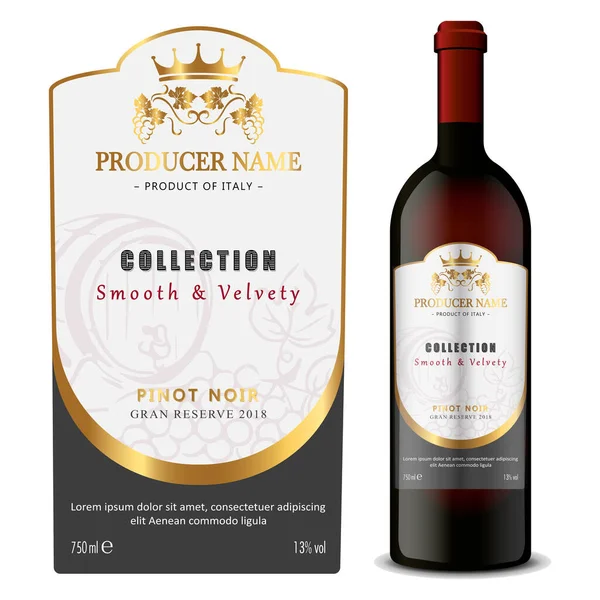 Kaliteli Kırmızı Beyaz Şarap Etiketleri Seti Elle Çizilmiş Üzümlü Temiz — Stok Vektör