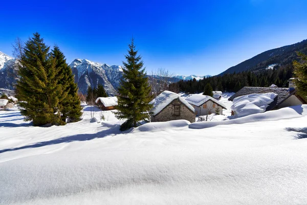 Winter mountain village landscape with chalet and forest