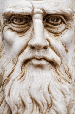 Leonardo da vinci makro closeup ön görünümü tüm yüz