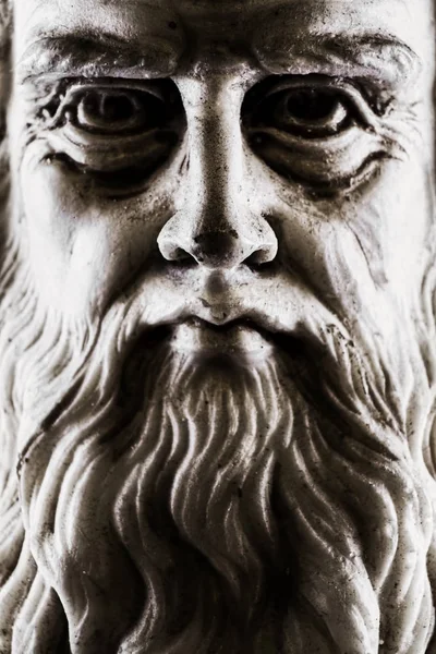 Leonardo Vinci Macro Closeup Frontal View Entire Face Lateral Strong — Stock Photo, Image