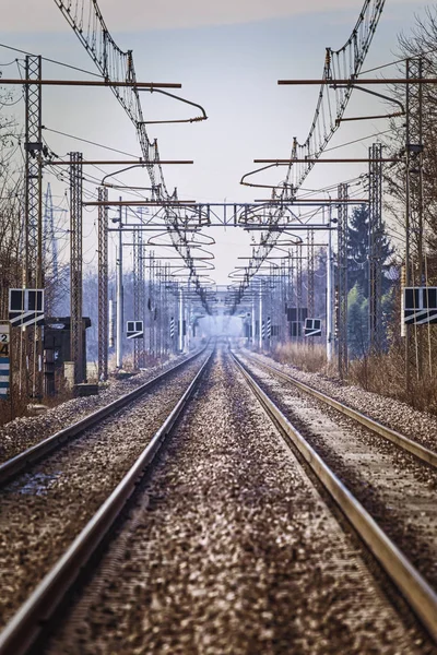 Dubbla Spår Järnväg Visa Långt Borta — Stockfoto