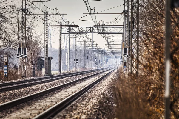 Ferrocarriles Vacíos Perspectiva Vista Lejana Vía Única —  Fotos de Stock