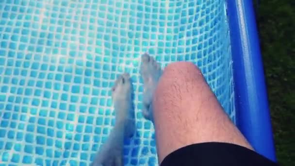 Pernas Masculinas Vistas Cima Água Uma Piscina Relaxante Borda Dia — Vídeo de Stock