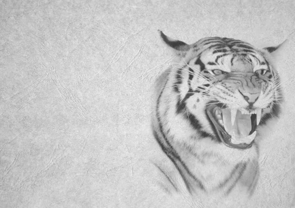 Grayscale Tarjeta Plegable Blanco Negro Imagen Una Cara Tigre Enojado — Foto de Stock