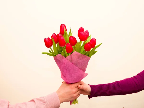 Kytice Růžových Tulipánů Royalty Free Stock Obrázky