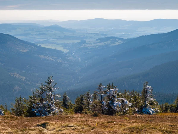 Snieznik Den Högsta Toppen Bergsmassivet Snieznik Och Den Polska Östra — Stockfoto