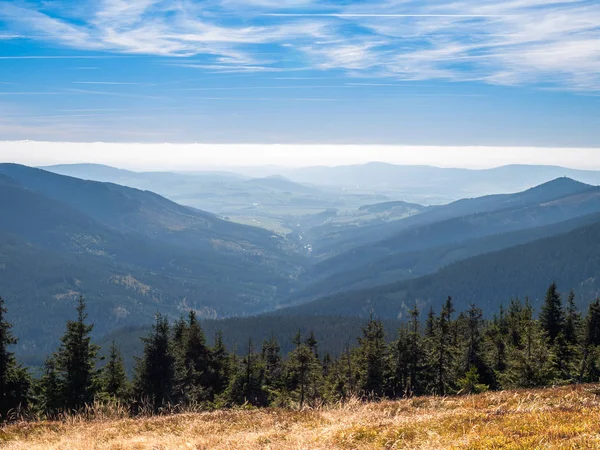 Snieznik, en yüksek tepe Snieznik masifinin ve Polonya Doğu Sudety