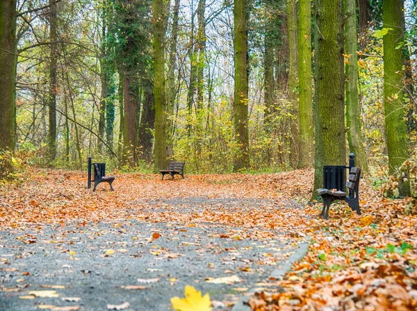 Herbst Park — Stockfoto