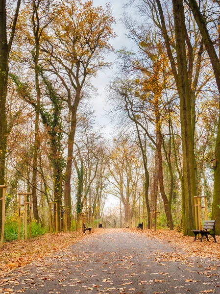 Herbst Park — Stockfoto