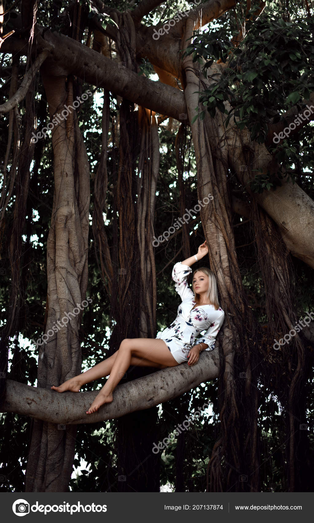 https://st4.depositphotos.com/1035122/20713/i/1600/depositphotos_207137874-stock-photo-woman-sitting-in-huge-jungle.jpg