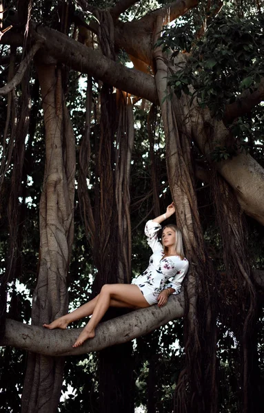 Beyaz casual elbise içinde yaklaşık ile büyük orman ağaçlarında oturan kadın — Stok fotoğraf