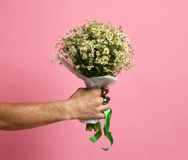 Man hand hold chamomile daisies flowers bouquet for spring 8 march Womans day celebration