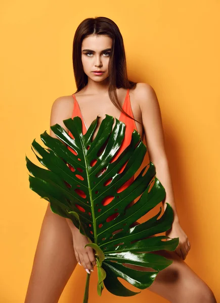 Ung vacker sexig kvinna med perfekt slät hud hålla tropiska Palm Tree Leaf — Stockfoto