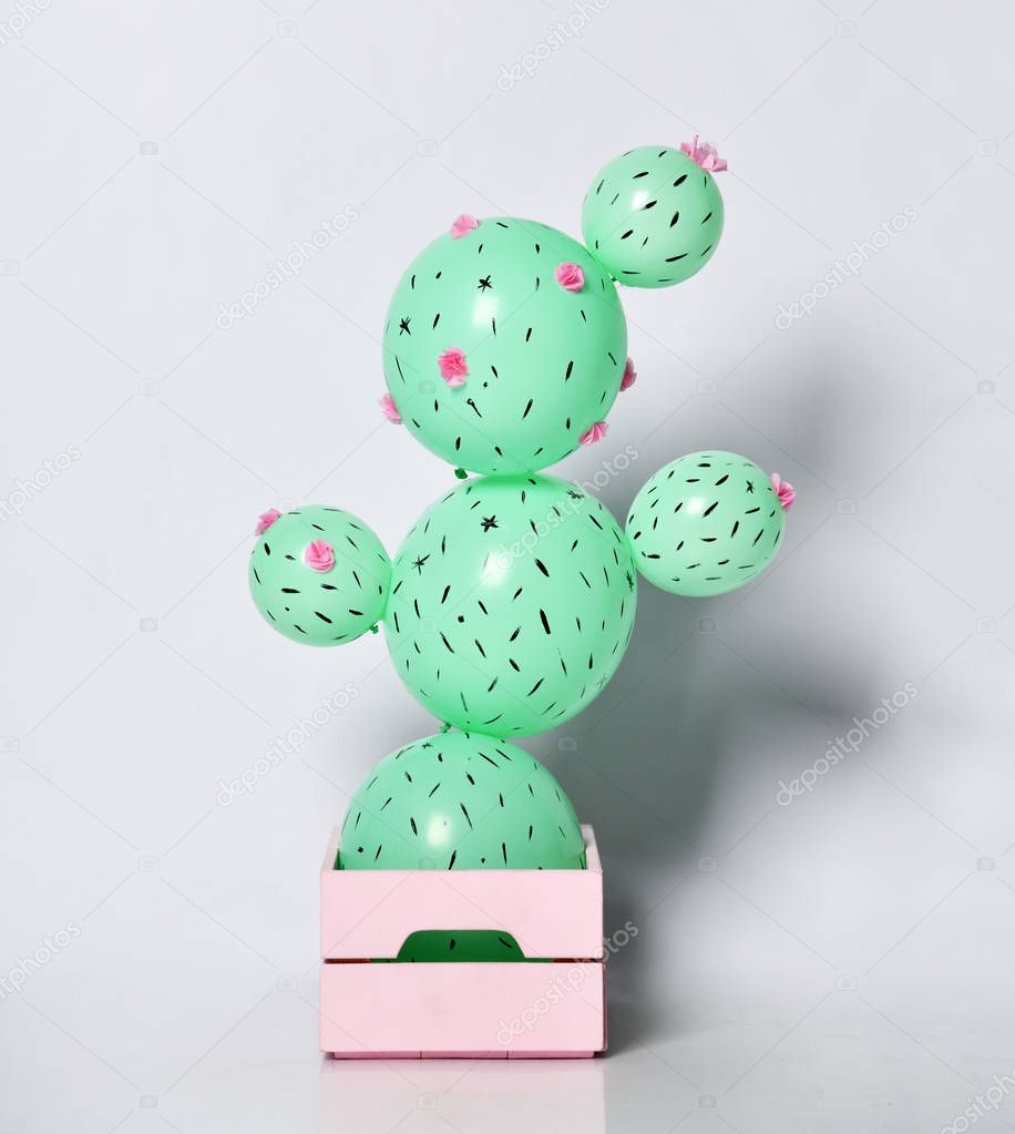Cactus balloon in pastel pink flower pot made of green round balloons with flowers. Creative idea 