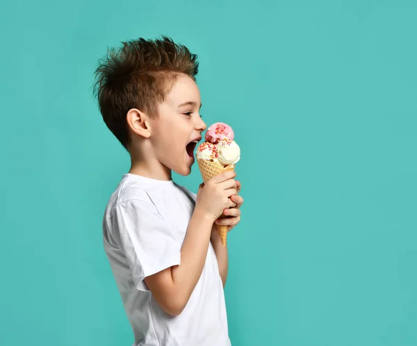 Μικρό παιδί αγόρι τρώνε βατόμουρο και βανίλια παγωτό σε βάφλες κώνο σε μπλε μέντα — Φωτογραφία Αρχείου