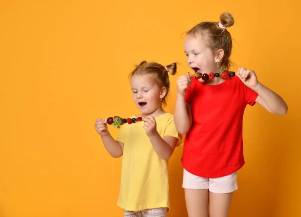 Çilek kiraz çilek ahududu yaban mersini ile meyve şiş tatlı yeme çığlık gülümseyen iki çocuk kız kardeş mutlu — Stok fotoğraf
