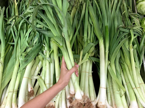 Kadın el organik süpermarkette yeşil taze pırasa soğan veya sarımsak demet seçin — Stok fotoğraf