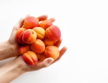 Kadın elleri beyaz arka planda taze kayısılarla dolu avuçlarını tutuyor. Sağlıklı yemek için organik süper gıda kavramı 