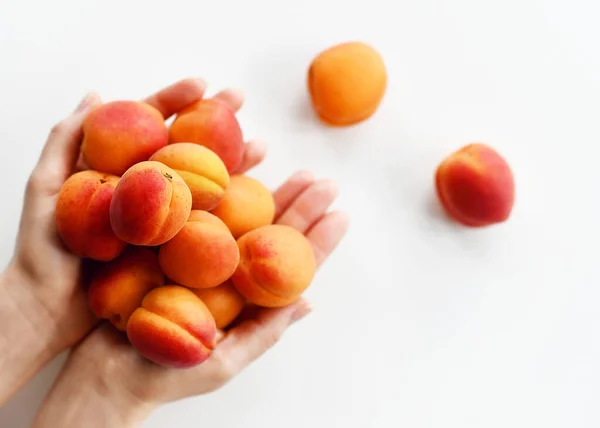 Woman hands holds full palms of fresh sweet apricots on white background. Organic superfood concept for healthy eating